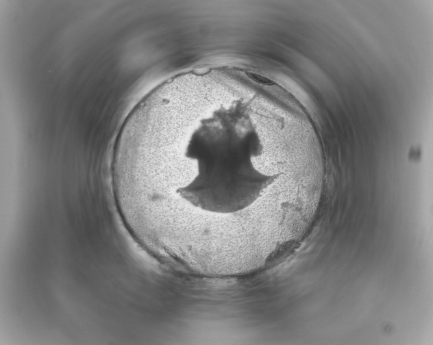 X0000090491055200708102214