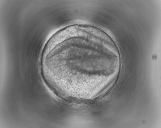 X0000090491056200708102214