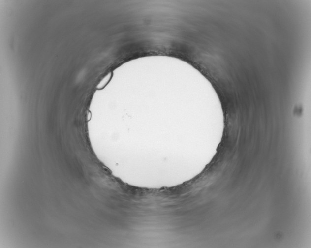 X0000090491057200708102214