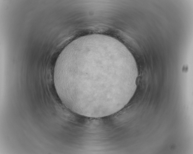 X0000090491058200708102214