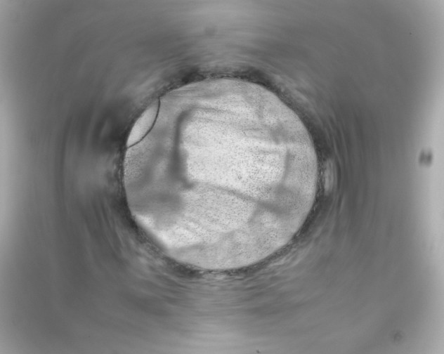 X0000090491059200708102214