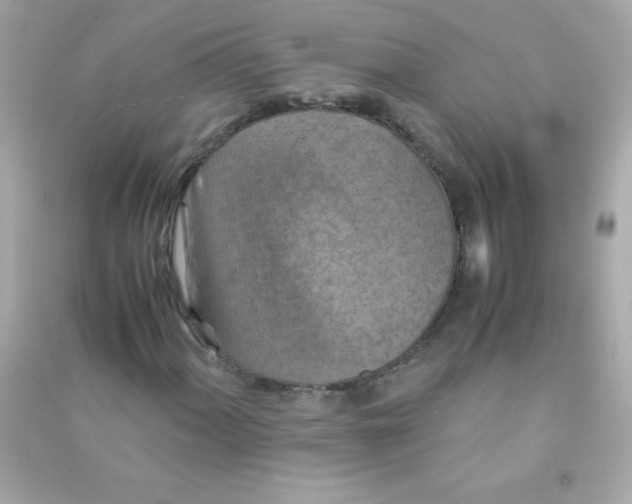 X0000090491060200708102214