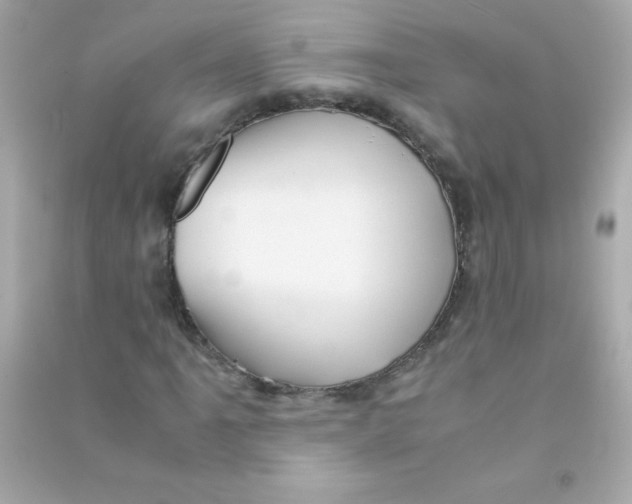 X0000090491061200708102214