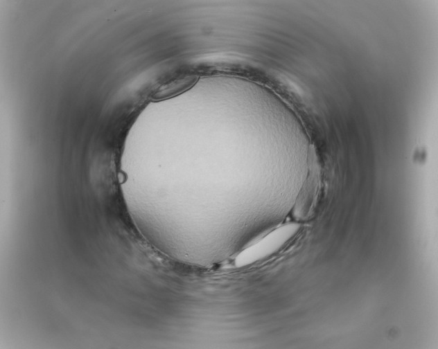 X0000090491062200708102214