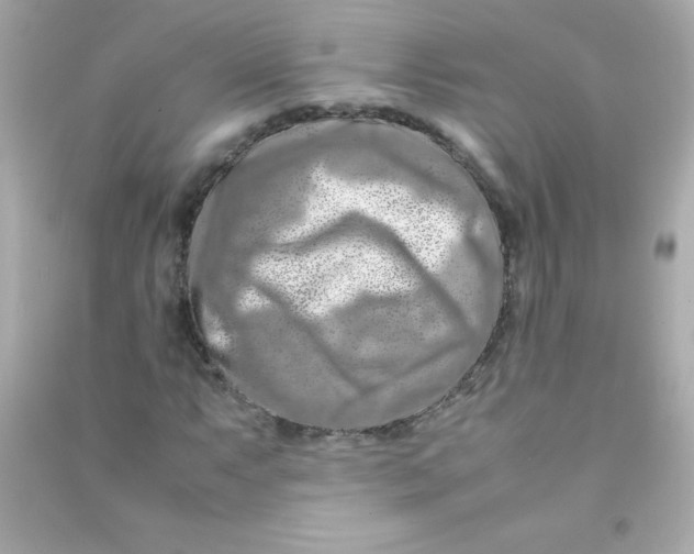 X0000090491063200708102214