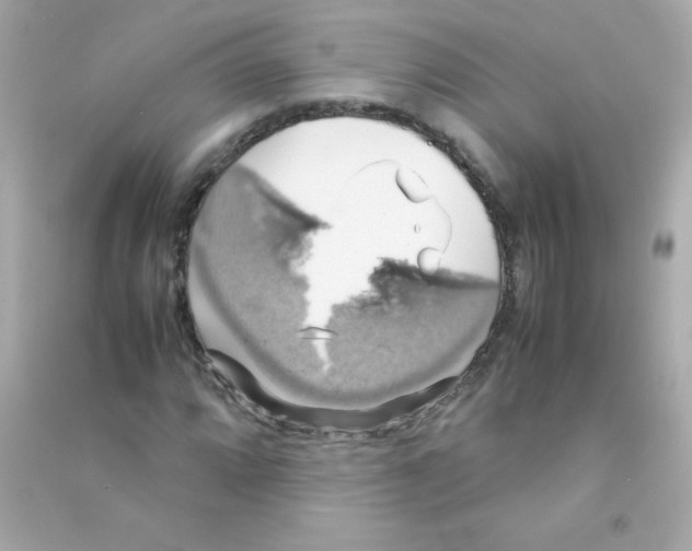 X0000090491064200708102214