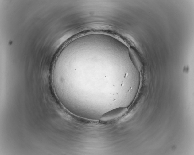 X0000090491065200708102214