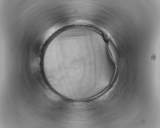 X0000090491066200708102214