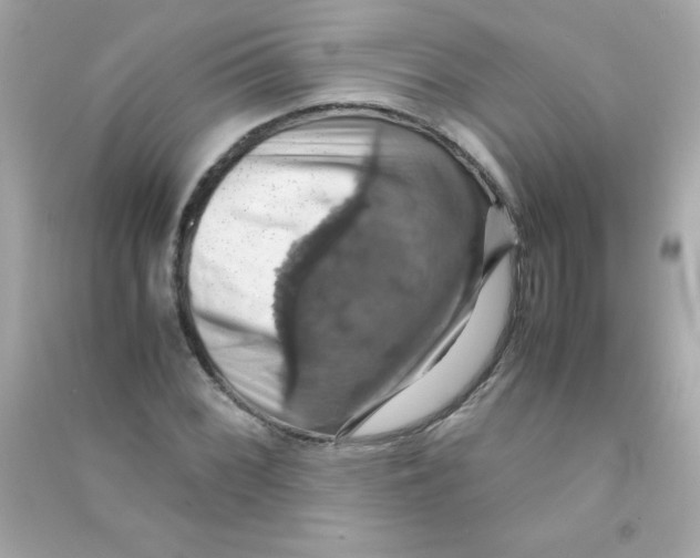 X0000090491068200708102214