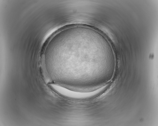 X0000090491069200708102214