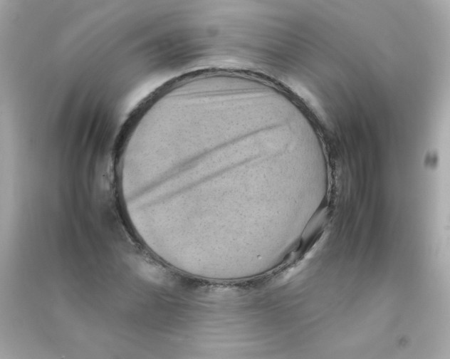 X0000090491070200708102214