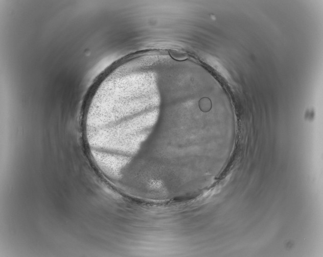 X0000090491071200708102214