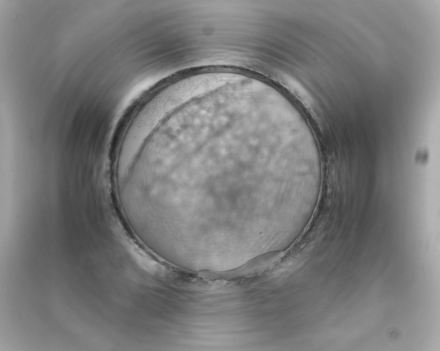 X0000090491072200708102214