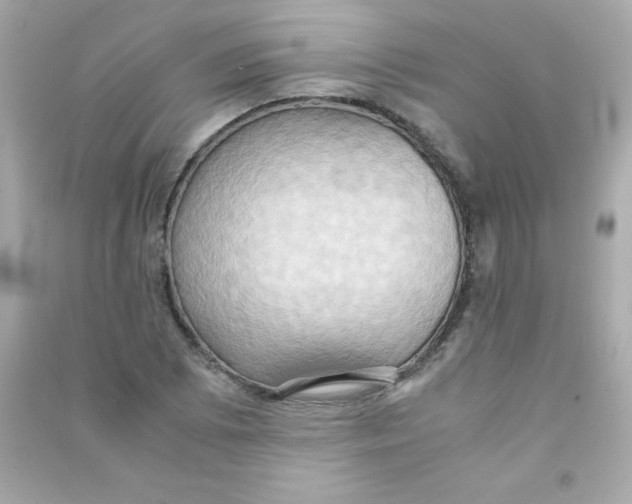 X0000090491073200708102213