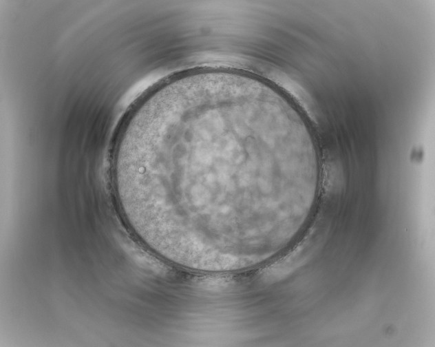 X0000090491074200708102213