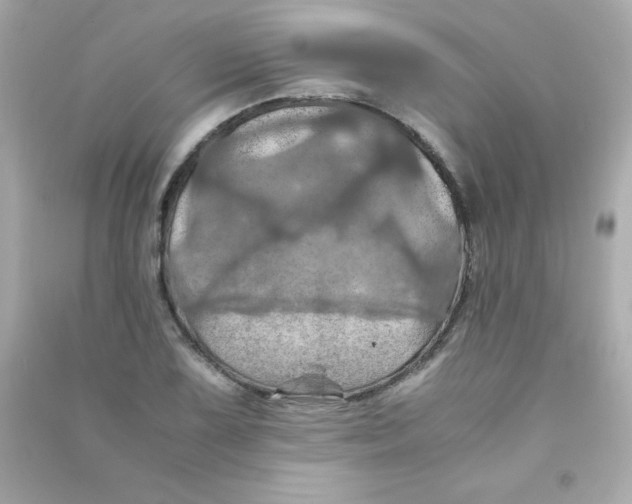 X0000090491075200708102213