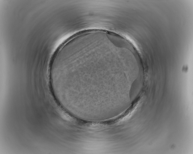 X0000090491077200708102213