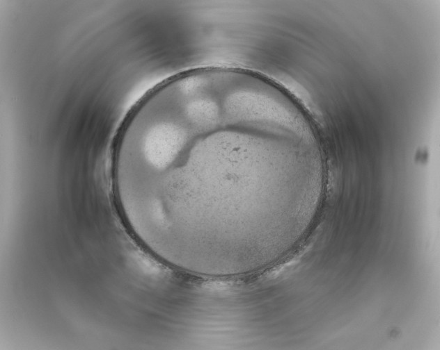 X0000090491078200708102213