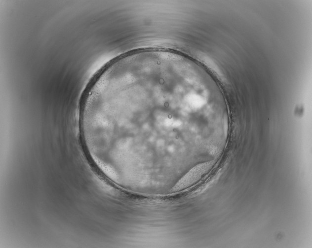 X0000090491079200708102213