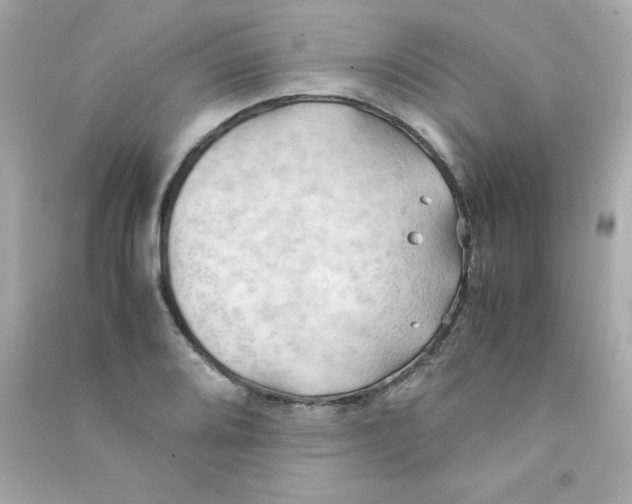 X0000090491080200708102213