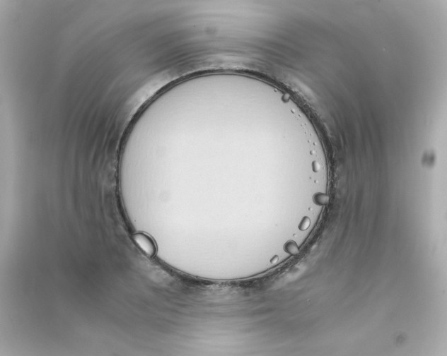 X0000090491081200708102213