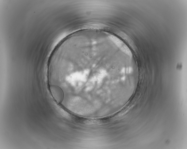 X0000090491083200708102213