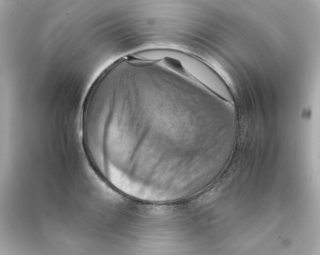 X0000090491084200708102213