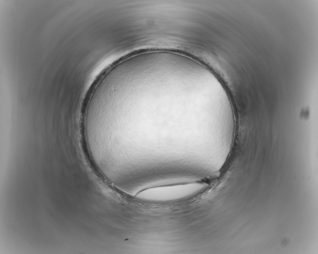 X0000090491085200708102213