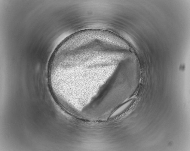 X0000090491087200708102213