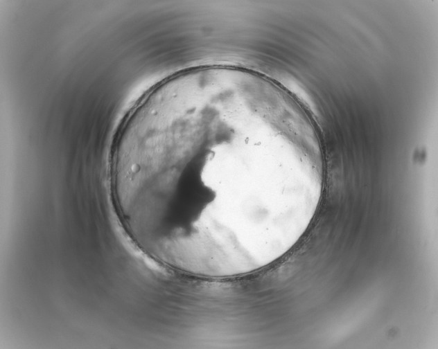 X0000090491088200708102213