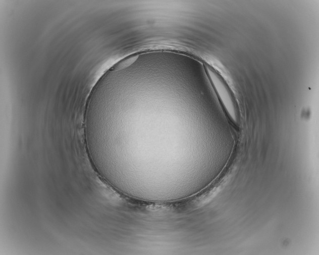 X0000090491089200708102213