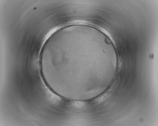 X0000090491090200708102213