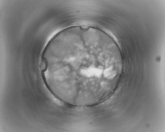 X0000090491091200708102213