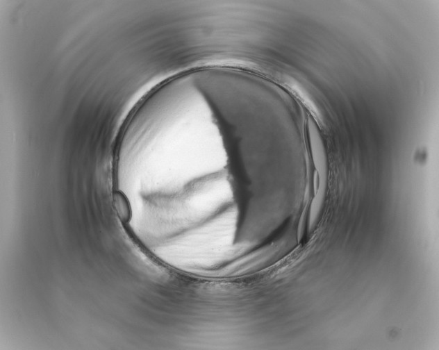 X0000090491092200708102213