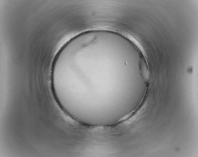 X0000090491093200708102213