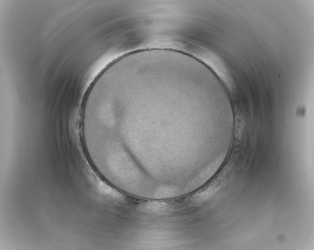 X0000090491094200708102213