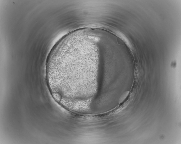 X0000090491095200708102213