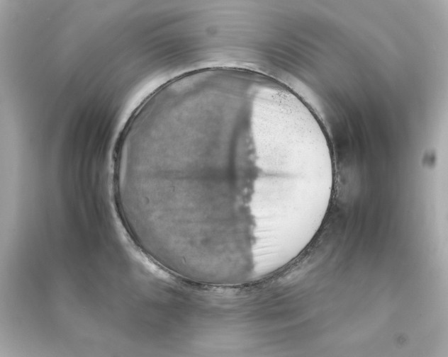 X0000090491096200708102213