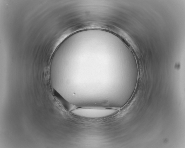 X0000090491097200708102213