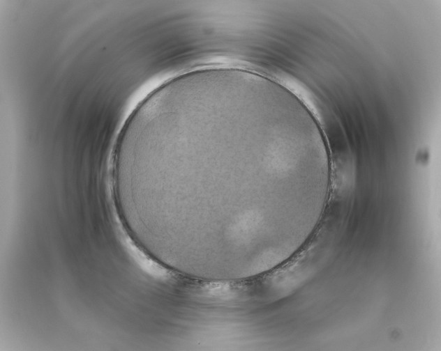 X0000090491098200708102213