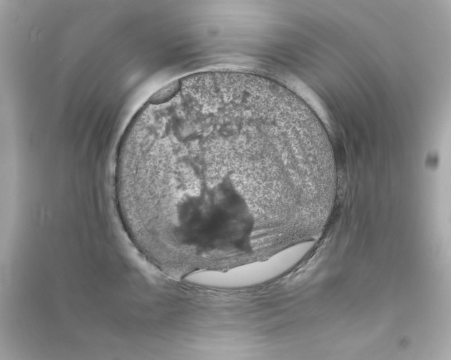 X0000090491099200708102213