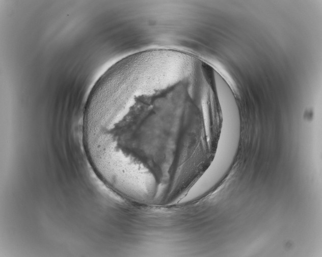 X0000090491100200708102213