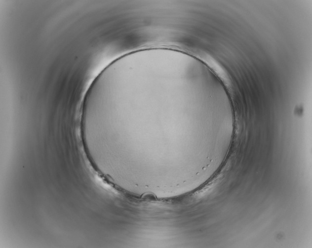 X0000090491102200708102213