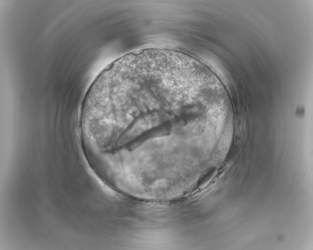 X0000090491103200708102213