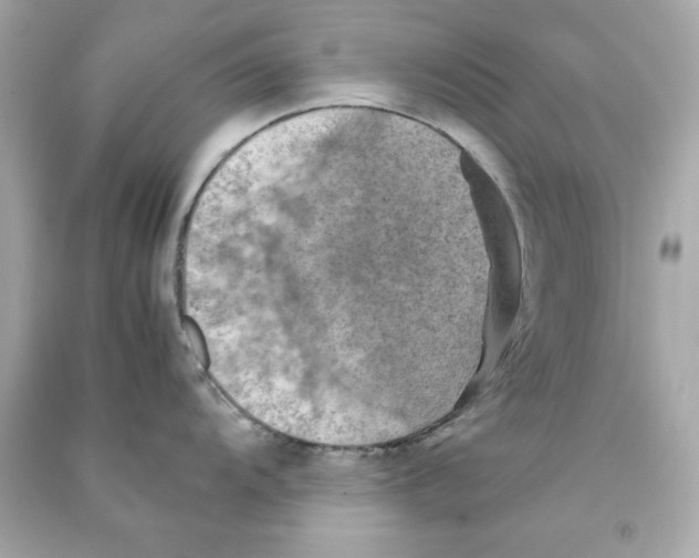 X0000090491104200708102213