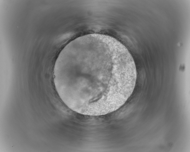 X0000090491105200708102212