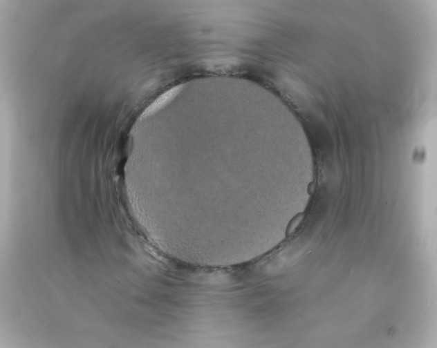 X0000090491106200708102212