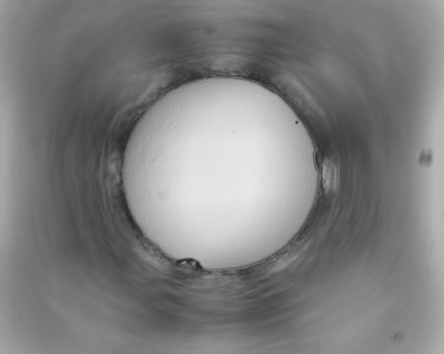 X0000090491107200708102212