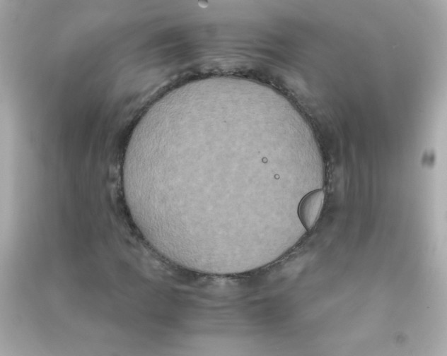 X0000090491109200708102212