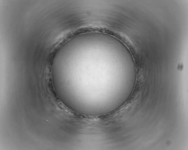 X0000090491110200708102212